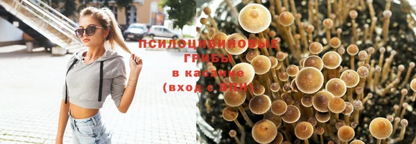 MESCALINE Тихвин